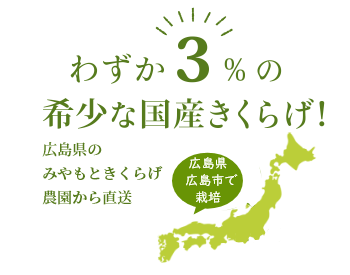 さくらげ
